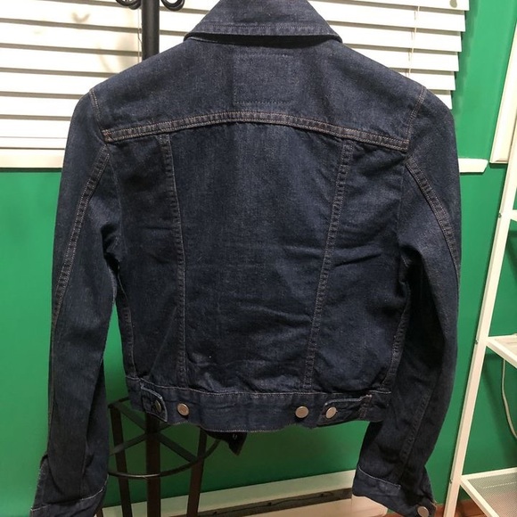 Levi - Picture 2 of 3